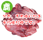 YX^_[h 1kg
