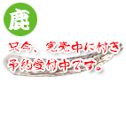 G]Antler 13`14cm